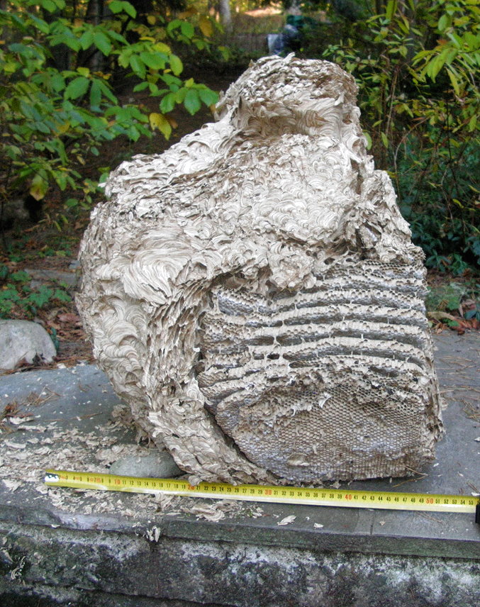 D. Schroeder (c) 2011